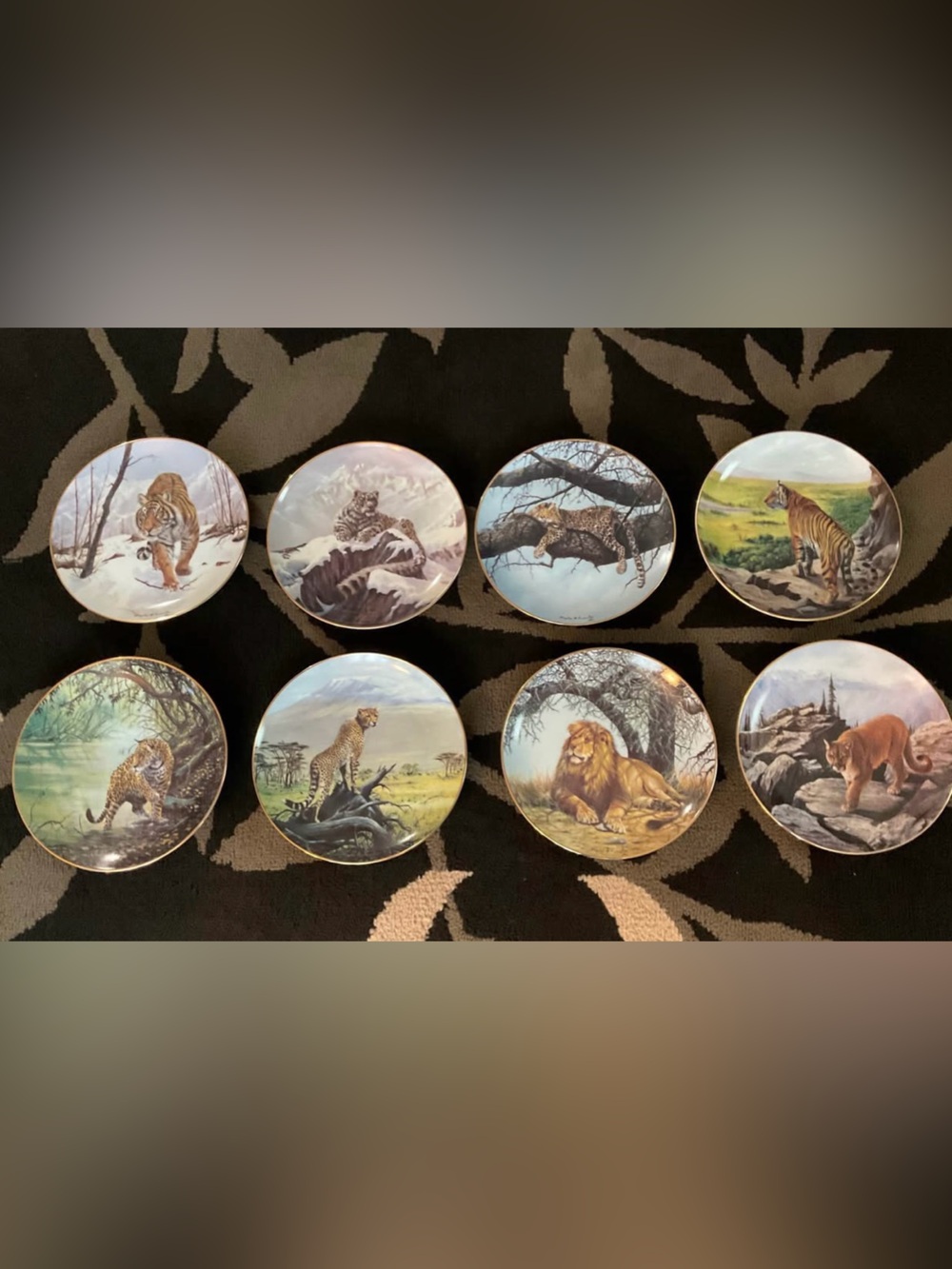 The Hamilton Collection Plates “Big Cats of the World'  by Douglas A Manning